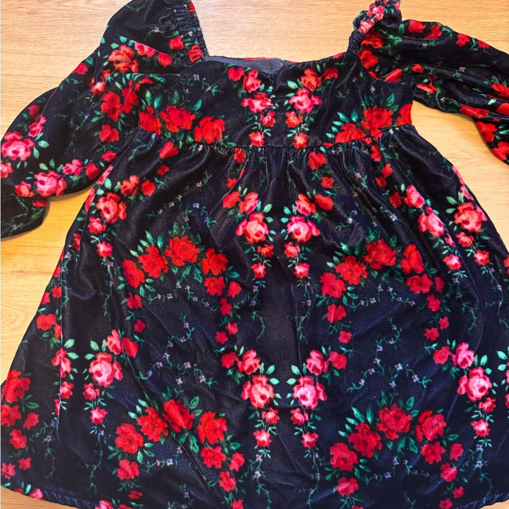 Janie and Jack Velvet Dress with Red and Green Floral Design